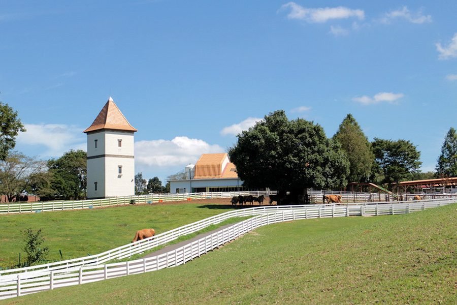 🌳 나뭇잎 사이로 비치는 햇살 숲의 이바라이도(코모레비모리노 이바라이도) 이미지 7